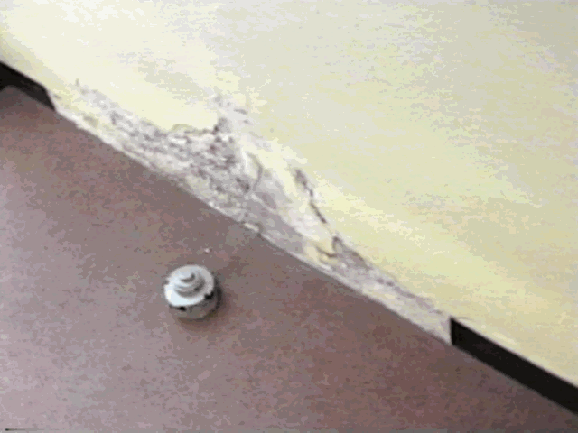 Sewer Line Exits Below Music Room
